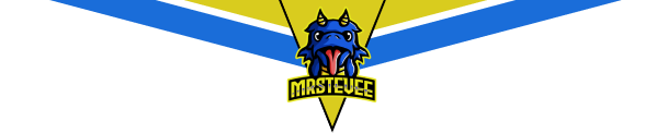 Mr. Steeve Logo